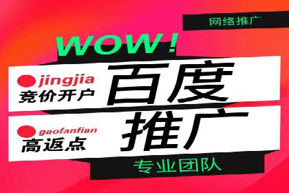 百度SEO推广公司案例分析：成功案例解析